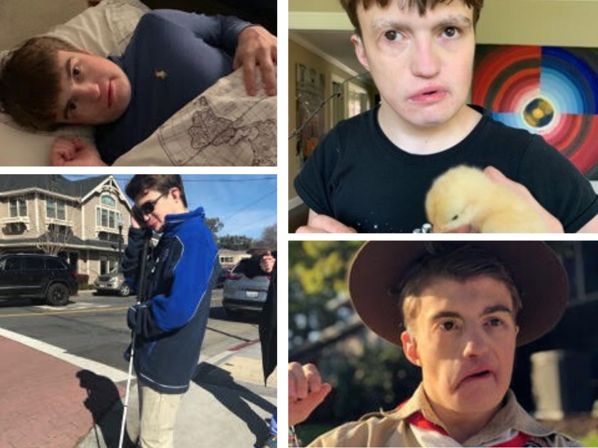 A collage of Tyler walking, holding a chick and smiling.