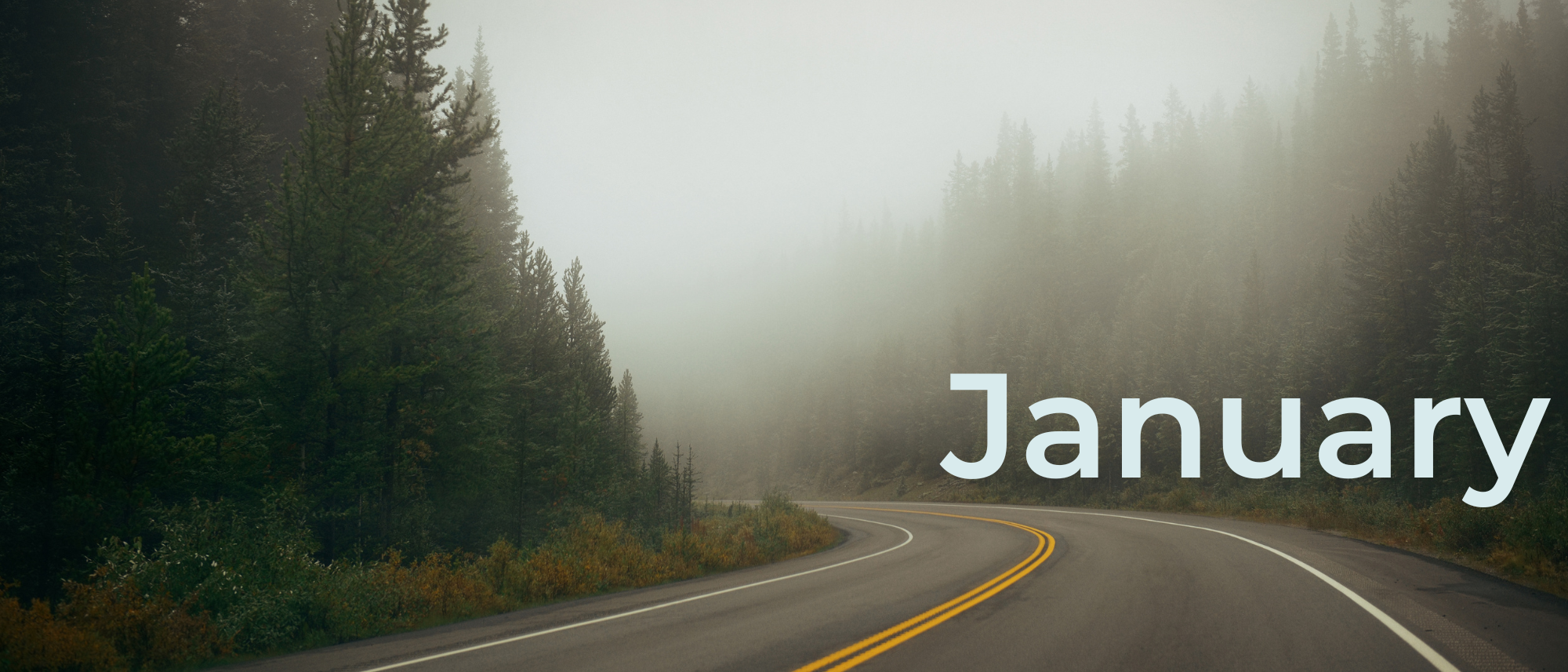 Foggy road in the forest. Written text: January